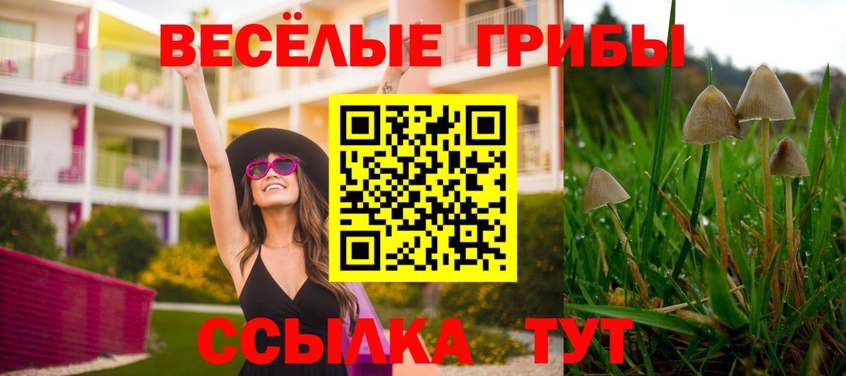 Псилоцибиновые грибы ЛСД  Вход с VPN  что такое наркотик  Усолье-Сибирское 