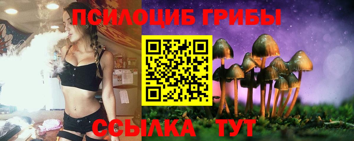 Псилоцибиновые грибы Psilocybine cubensis Усолье-Сибирское
